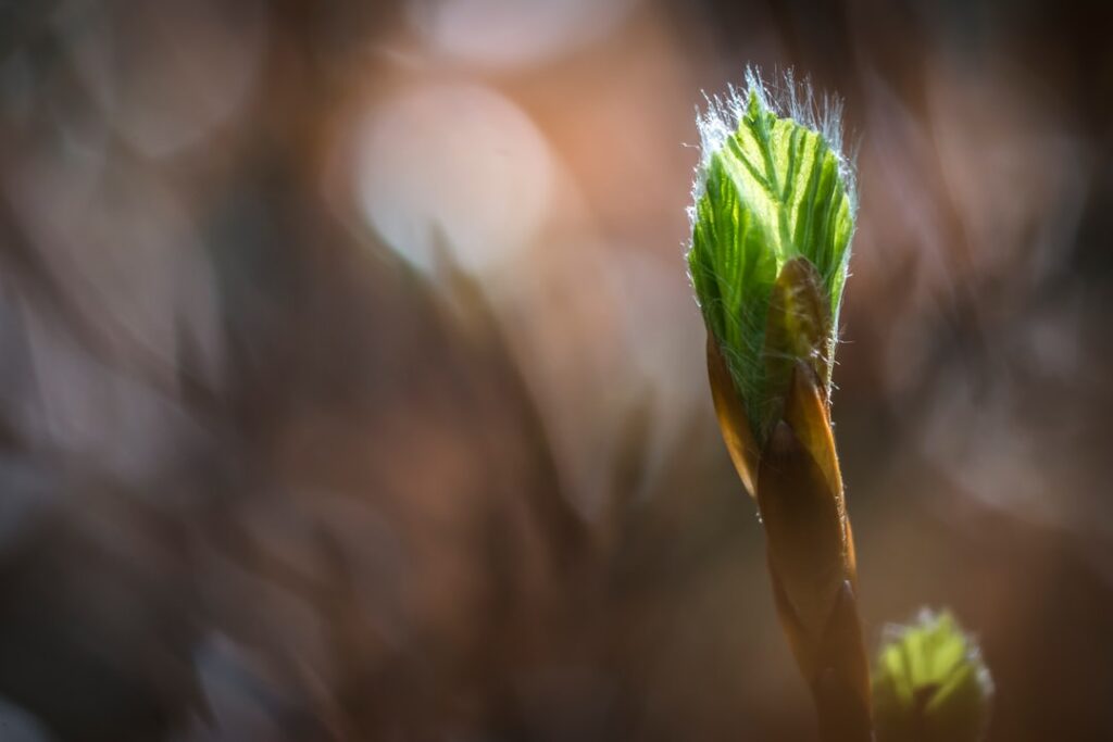 Photo new beginnings