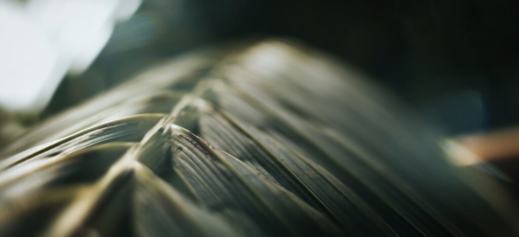 Photo garden organization