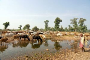 Photo improve quality of life rural areas