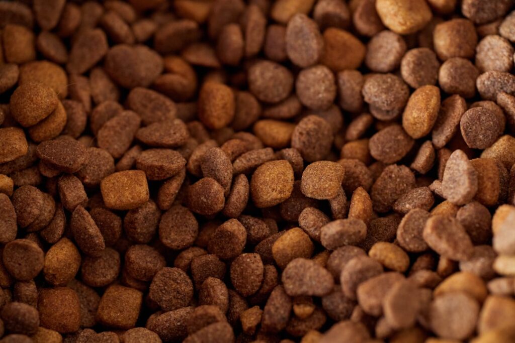 Photo healthy animals