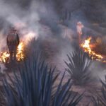 Photo waste management rural