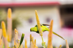 Photo rural gastronomy