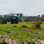 Photo cooperative agricultural