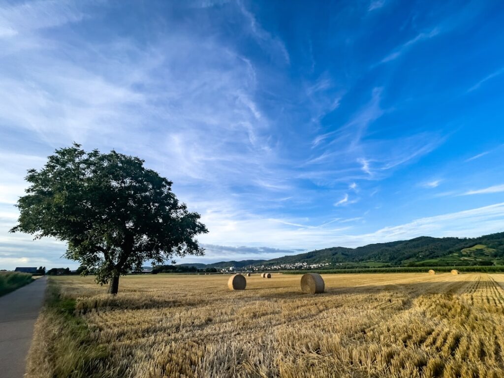 Photo rural areas for telecommuting