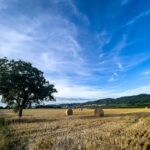 Photo rural areas for telecommuting