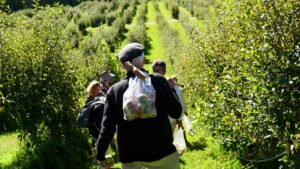 Photo planting a family orchard