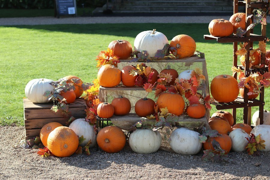 harvest traditions