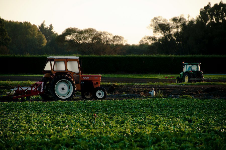 agricultural traditions