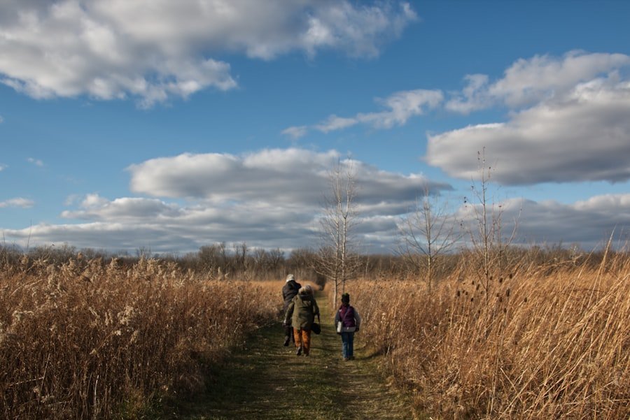activities for kids in the countryside