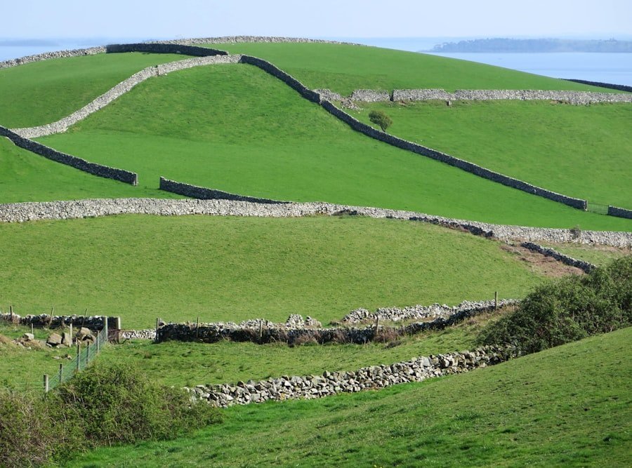 traditional sheepfold