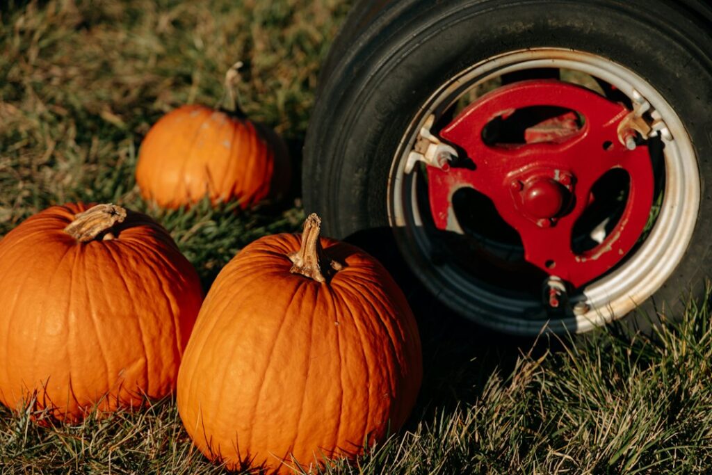 Photo harvest traditions
