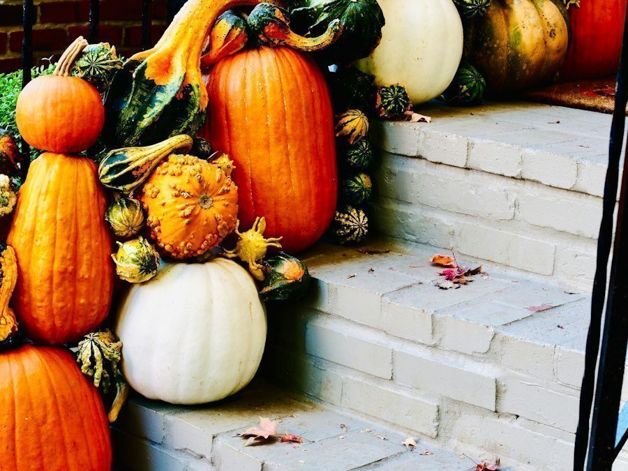 Photo harvest traditions