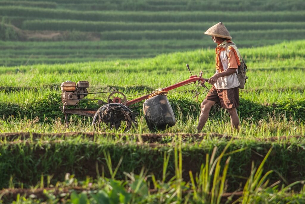 Photo agricultural traditions