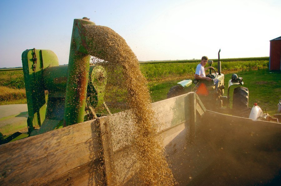 participa la activitati agricole