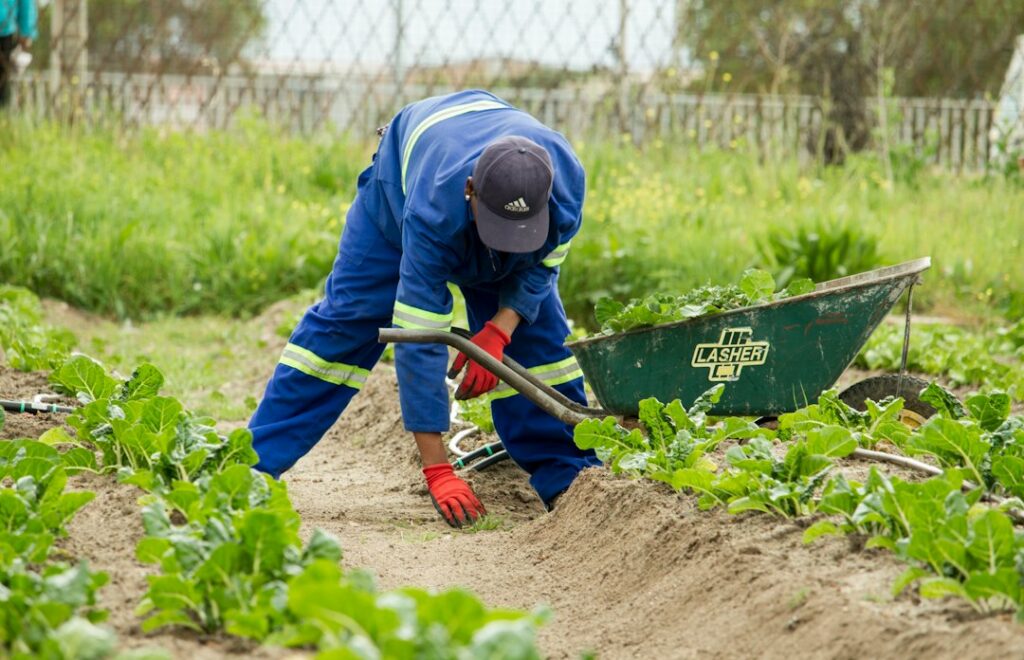 Photo local agriculture farming