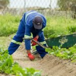 Photo local agriculture farming