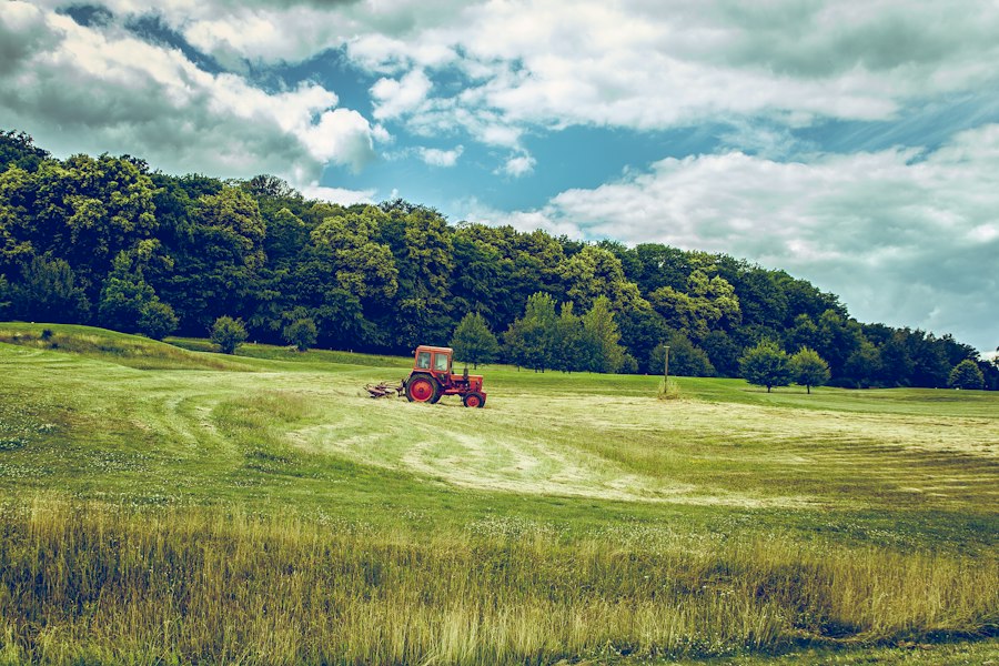 Photo local agriculture farming