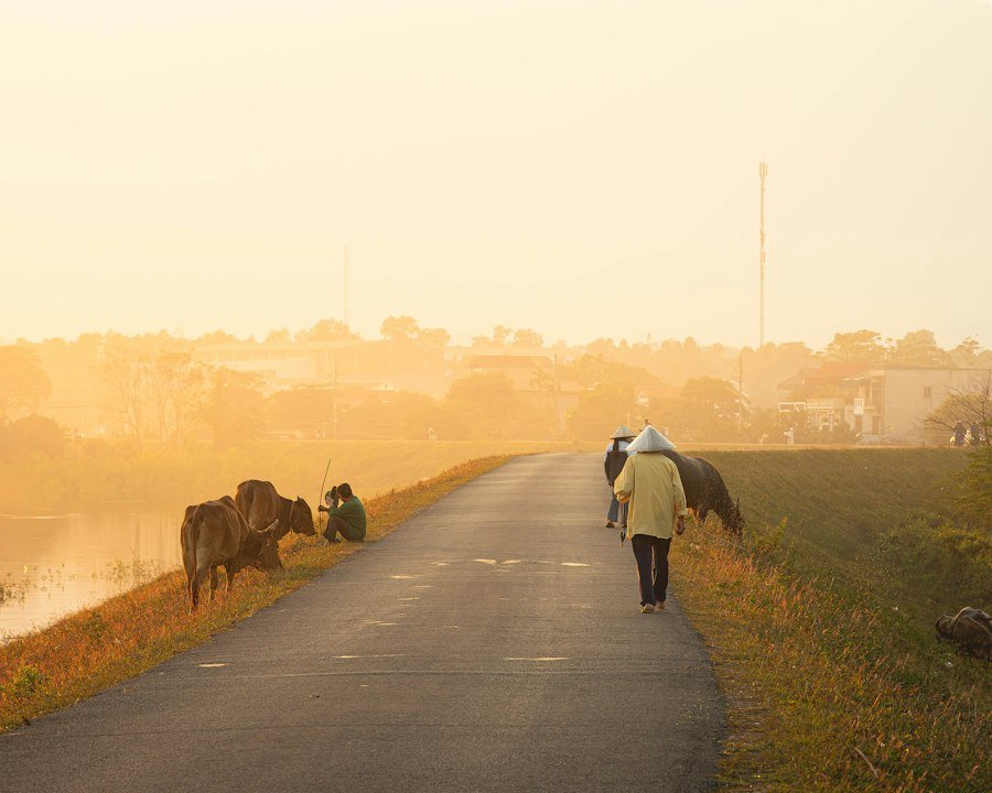 Photo rural life guide experts data