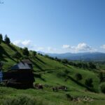 Photo traditional rural household Romania