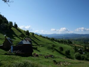 Photo traditional rural household Romania