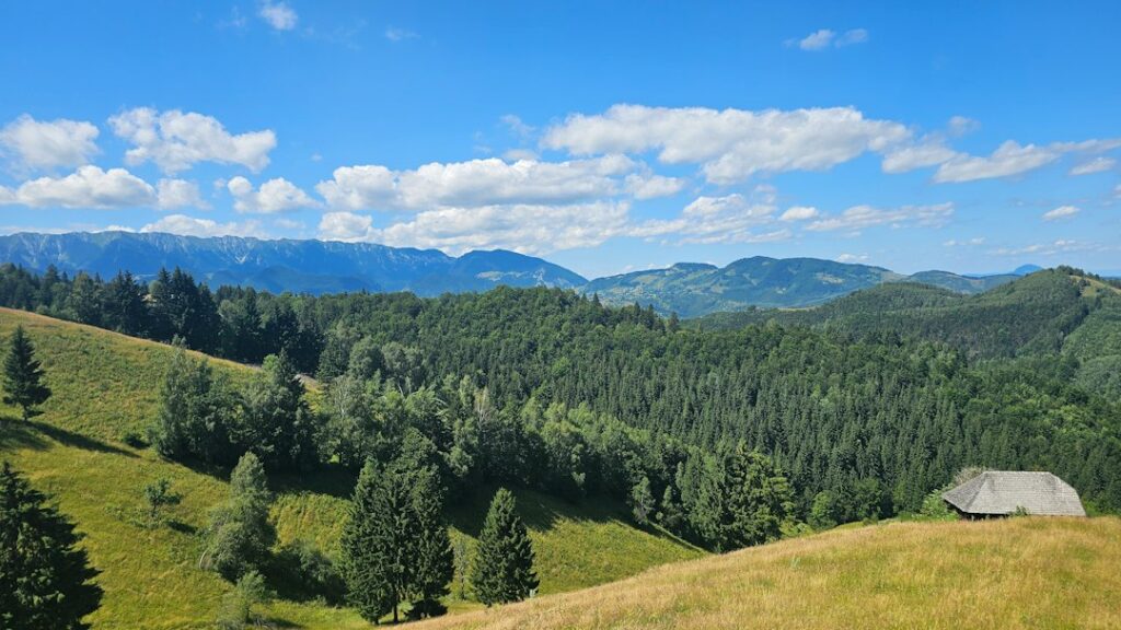 Photo rural life countryside Romania