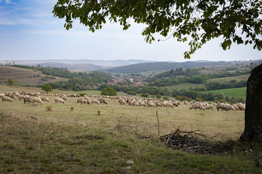 Photo rural life countryside Romania
