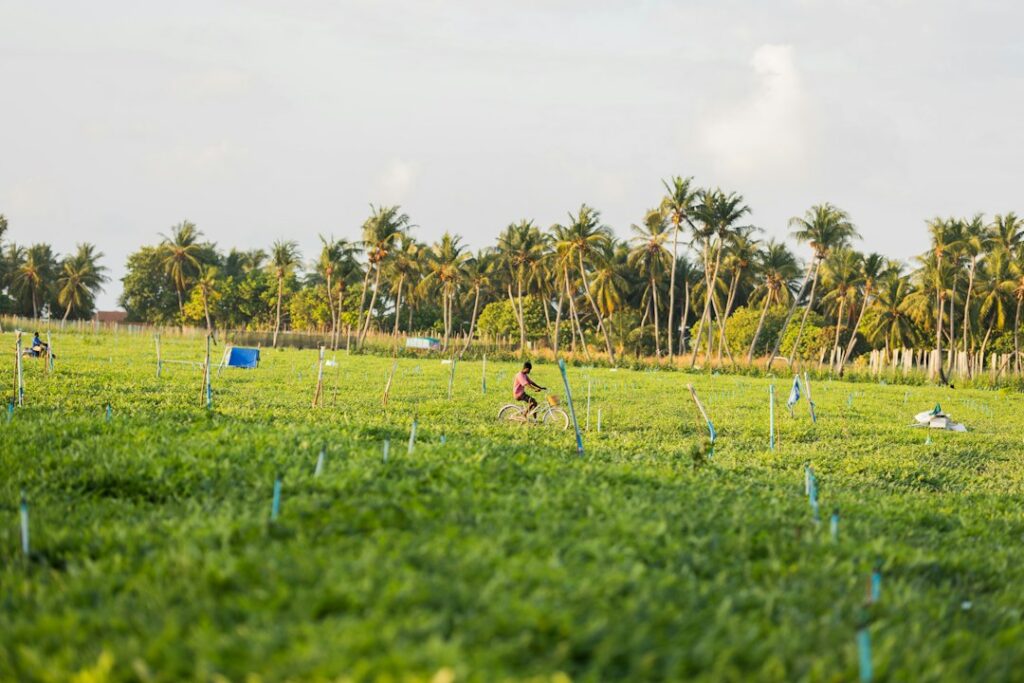 Photo common mistakes local agriculture