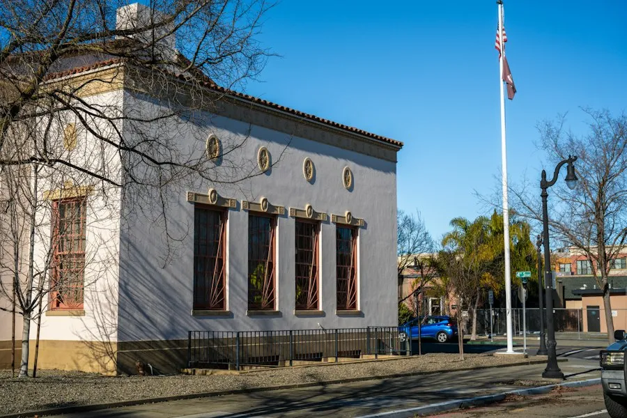 local government mistakes