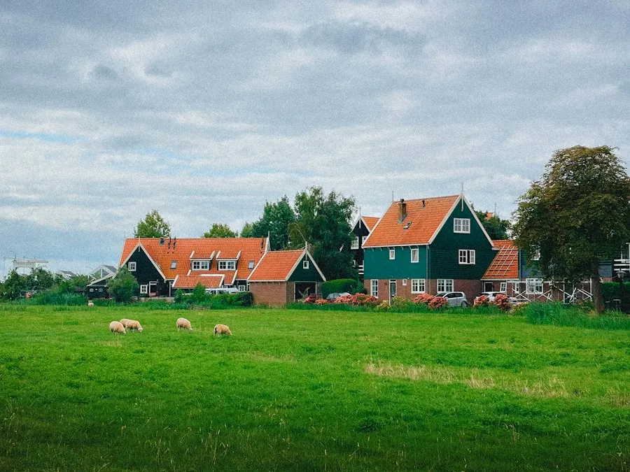 common rural tourism mistakes