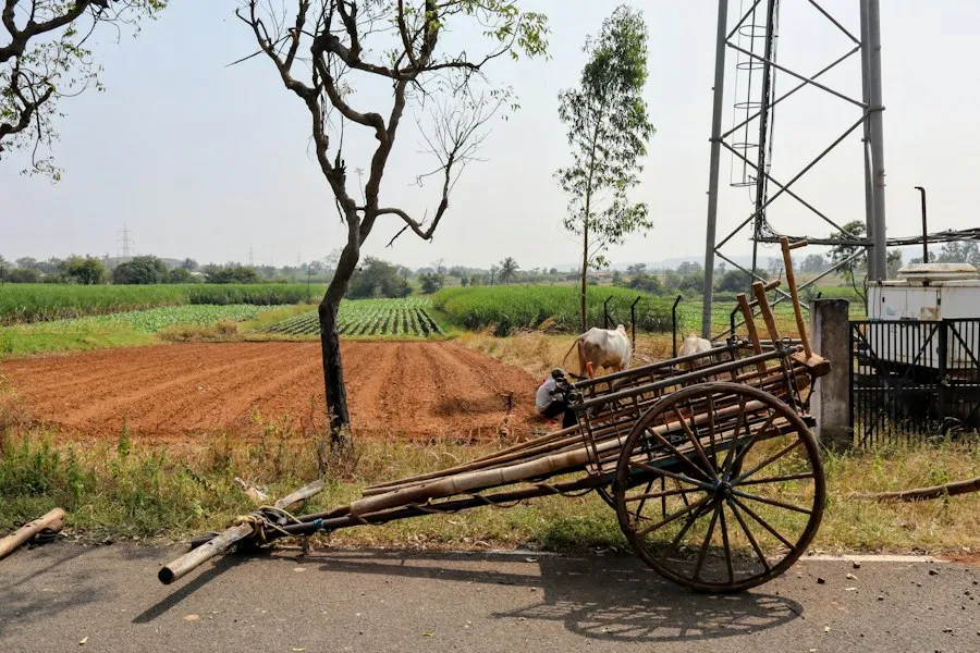 Photo common health mistakes rural areas